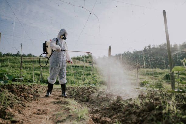 Best Affordable Pest Control Services  in East Uniontown, PA
