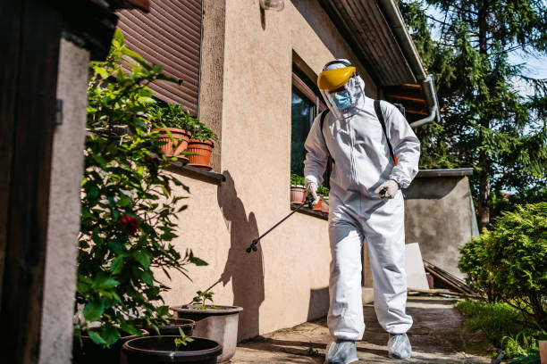 Best Bed Bug Extermination  in East Uniontown, PA
