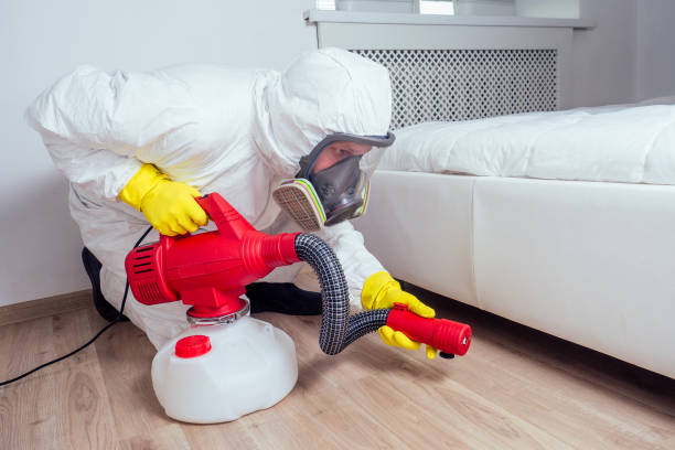 Best Flea Control Services  in East Uniontown, PA