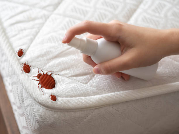 Best Pest Prevention Services  in East Uniontown, PA